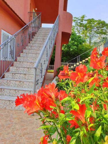 a group of stairs next to a building with red flowers at Apartments Lazarević in Kotor