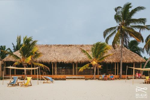 a resort on the beach with chairs and palm trees at Dos Aguas Lodge in Rincón