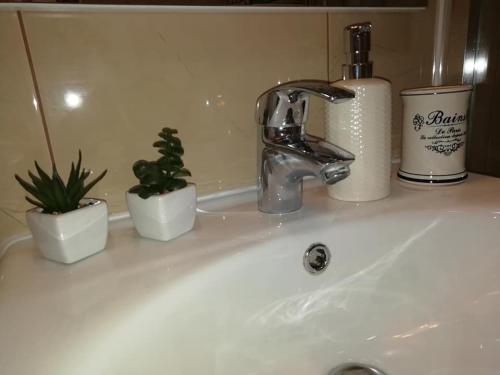 a bathroom sink with two plants and a faucet at Apartment Sun & Sea in Krk