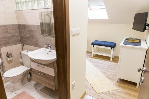 a bathroom with a toilet and a sink at SoleGutta in Kolárovo