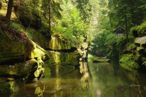 a river with a house in the middle of a forest at Krásný byt v centru Děčína in Děčín