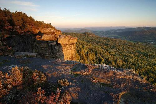 a view from the edge of a mountain with trees at Krásný byt v centru Děčína in Děčín