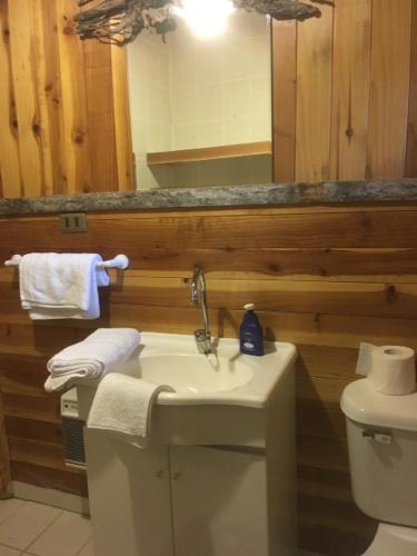 a bathroom with a sink and a toilet and a mirror at Huincaterra in Villarrica