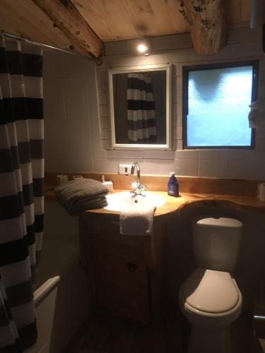 a bathroom with a toilet and a sink and a window at Huincaterra in Villarrica