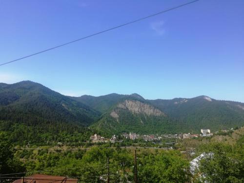 a view of a mountain range with a town at Guest House Ilia in Borjomi