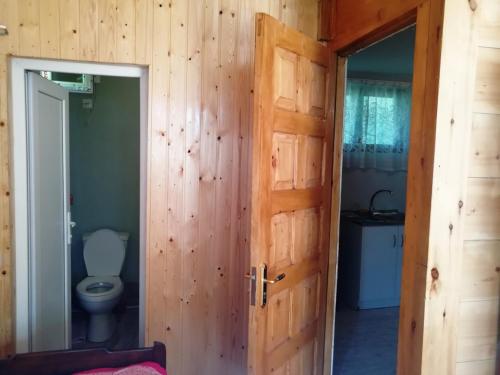 Un baño con inodoro y puerta de madera. en Guest House Ilia, en Borjomi