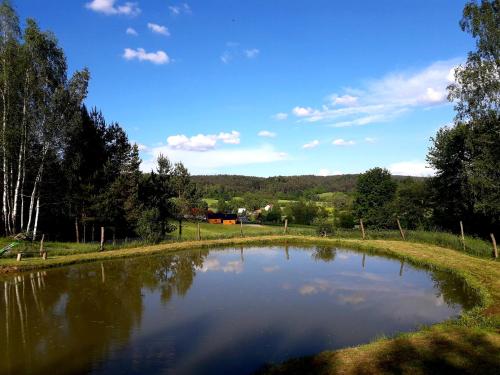 a small pond in the middle of a field at Domki pod Bukowym lasem in Wańkowa