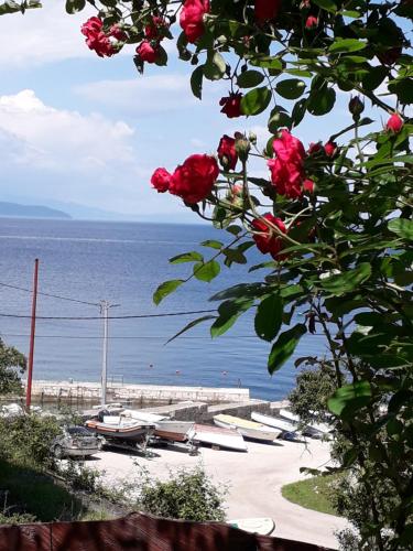 Φυσικό τοπίο κοντά σε αυτό το διαμέρισμα