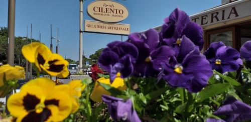 Imagem da galeria de Champagne Rooms em Sirmione