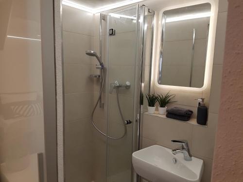 a bathroom with a shower and a sink at Souterrain Solln 20min Oktoberfest/Zentrum in Munich