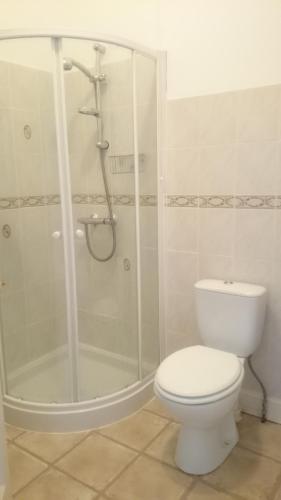 a bathroom with a shower with a toilet and a shower at Apartment in the heart of Callander in Callander