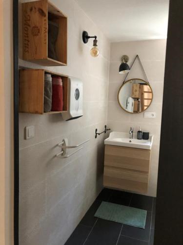 La salle de bains est pourvue d'un lavabo et d'un miroir. dans l'établissement Euskal etxea, à Bayonne
