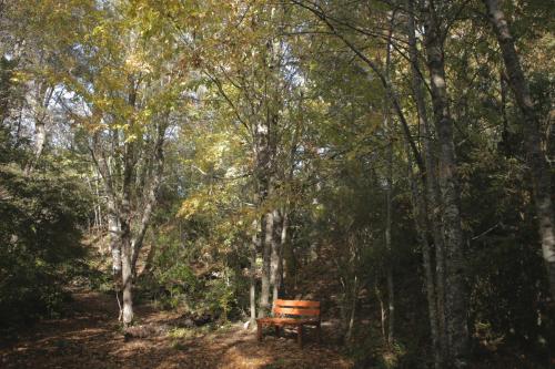 Paisaje cerca de este lodge
