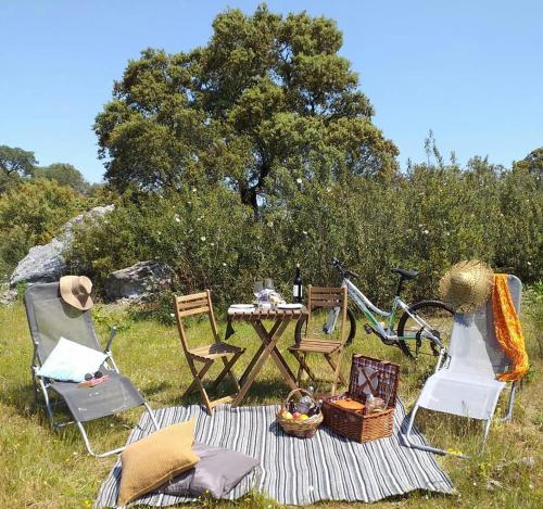 a picnic table and chairs in a field at Casas do Ardila in Santo Amador