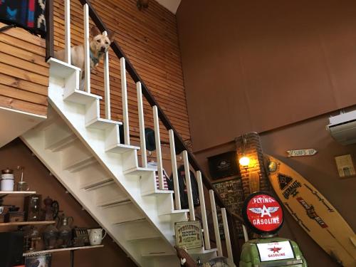 a dog sitting on the top of the stairs at The Green land (Khok Kruat) in Nakhon Ratchasima