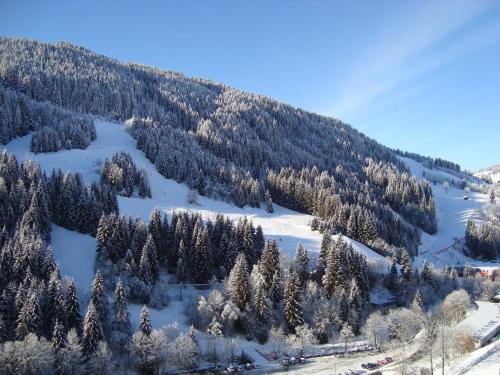 a mountain covered in snow with trees on it at Haus Hinterfürbach in Wagrain