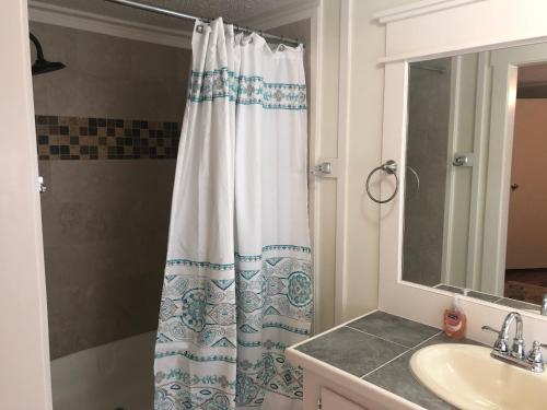 y baño con cortina de ducha y lavamanos. en Beaufort SC New Renovation, Close to Parris Island, Historic Downtown, Beautiful Beaches, Sleeps 7, en Beaufort