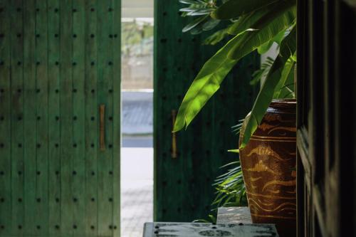 a large vase sitting next to a fence with a plant at The Postcard Galle in Galle