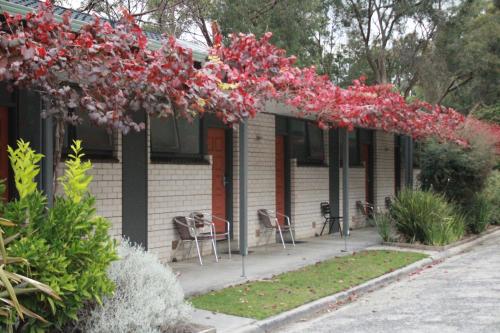 Κήπος έξω από το Prom Country Lodge