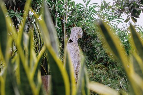 a statue of a bird sitting on a tree at The Postcard Galle in Galle