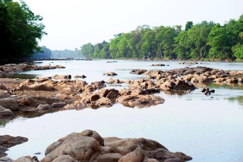 Un paisaje natural cerca de la casa de huéspedes