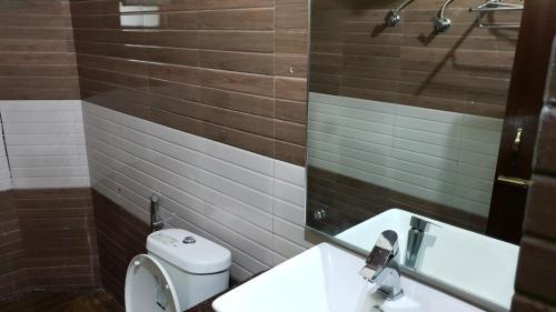 a bathroom with a toilet and a sink and a mirror at Highlander-guesthouse in Lansdowne