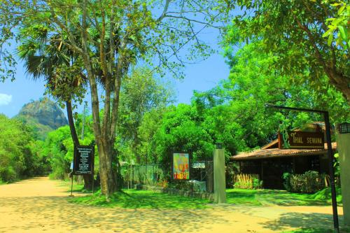 a park with a tree and a building at Thal Sewana in Sigiriya