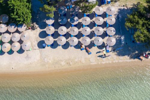 Gallery image of Akti House Psarogiannis Apartments & Studios in Vourvourou