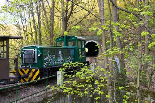 a green train is coming out of a tunnel at Erdővarázs Panzió in Lillafüred