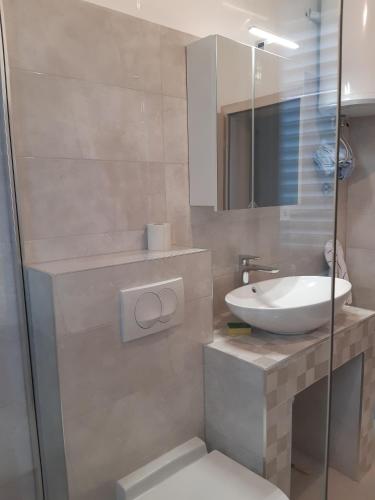 a bathroom with a sink and a toilet and a mirror at Jelena Holiday House in Karlobag