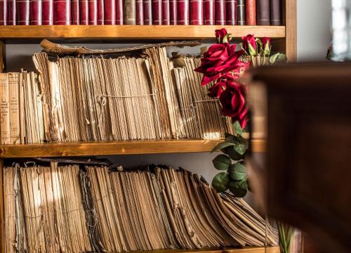a book shelf filled with lots of books and a red rose at Palazzo Pulieri in Altino