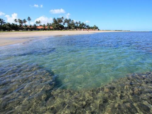 a view of a beach with trees and the water at Serrambi Resort in Porto De Galinhas