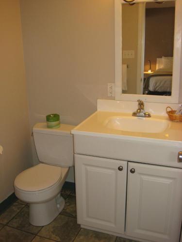 a bathroom with a white toilet and a sink at Monashee Lodge in Revelstoke