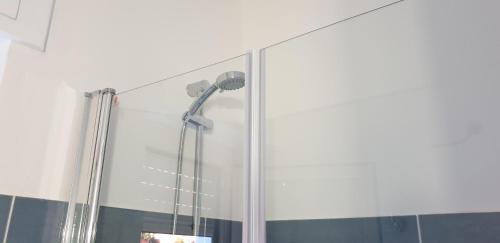a shower with a shower head in a bathroom at ele&gio accomodation in Tropea