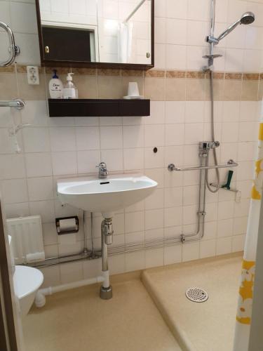 a bathroom with a sink and a shower and a toilet at Backhansgården I Plintsberg in Tällberg