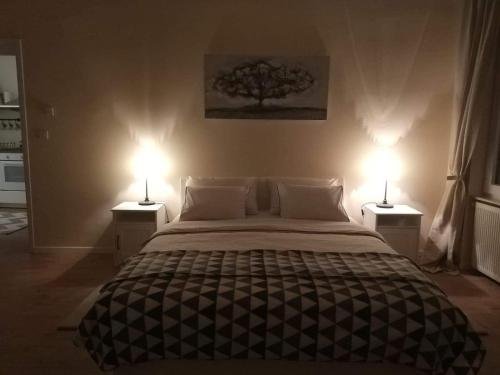 Ένα ή περισσότερα κρεβάτια σε δωμάτιο στο Apartments Radićeva