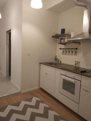 Η κουζίνα ή μικρή κουζίνα στο Apartments Radićeva