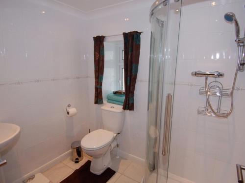 a bathroom with a toilet and a shower at Garden View in Kingskerswell