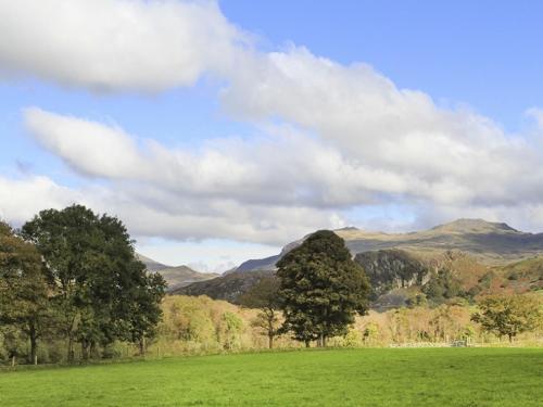 a green field with trees and mountains in the background at Brynkir Tower in Llanfihangel-y-pennant