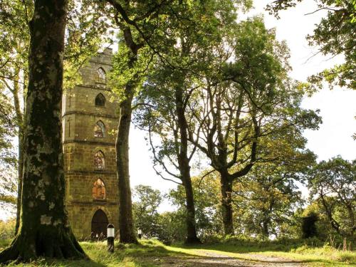an old building in the middle of some trees at Brynkir Tower in Llanfihangel-y-pennant