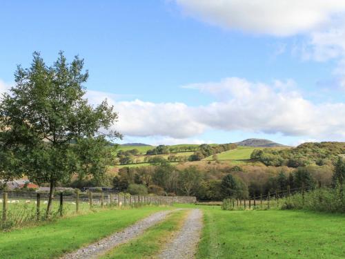 a dirt road in a field with hills in the background at Brynkir Tower in Llanfihangel-y-pennant