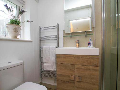 un bagno con lavandino, WC e specchio di Cuckooland a Porthmadog