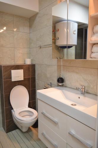 a bathroom with a toilet and a sink at Apartments Sokolović in Višegrad