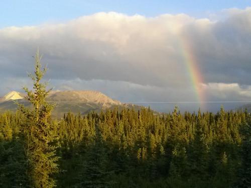 Alaskan Spruce Cabins – Photos 5