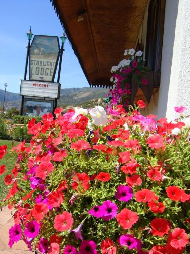 a bunch of flowers in front of a building at Starlight Lodge in Glenwood Springs