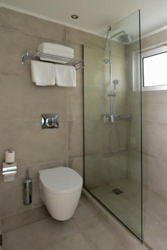 a bathroom with a toilet and a glass shower at Blue Horizon Apartments in Balíon
