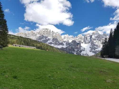 a grassy field with a mountain in the background at Casa Mowgli - Residence Sussy in Falcade