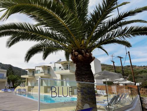 a palm tree in front of a building with a pool at Blue Horizon Apartments in Balíon