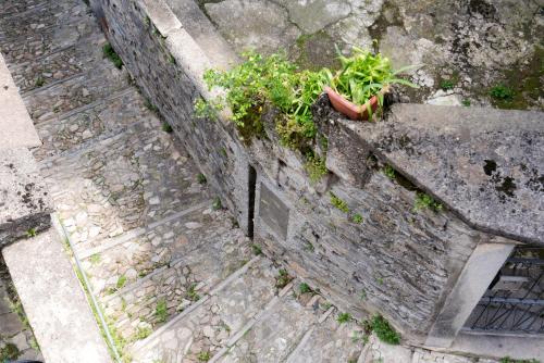 an old stone wall with a potted plant on it at Laglio Apartment Above George in Laglio