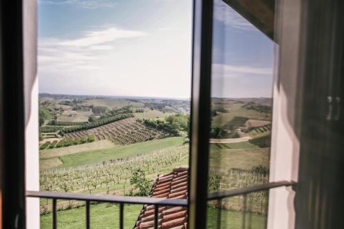 a view of a vineyard from a window at Ca' Colomba in San Damiano dʼAsti
